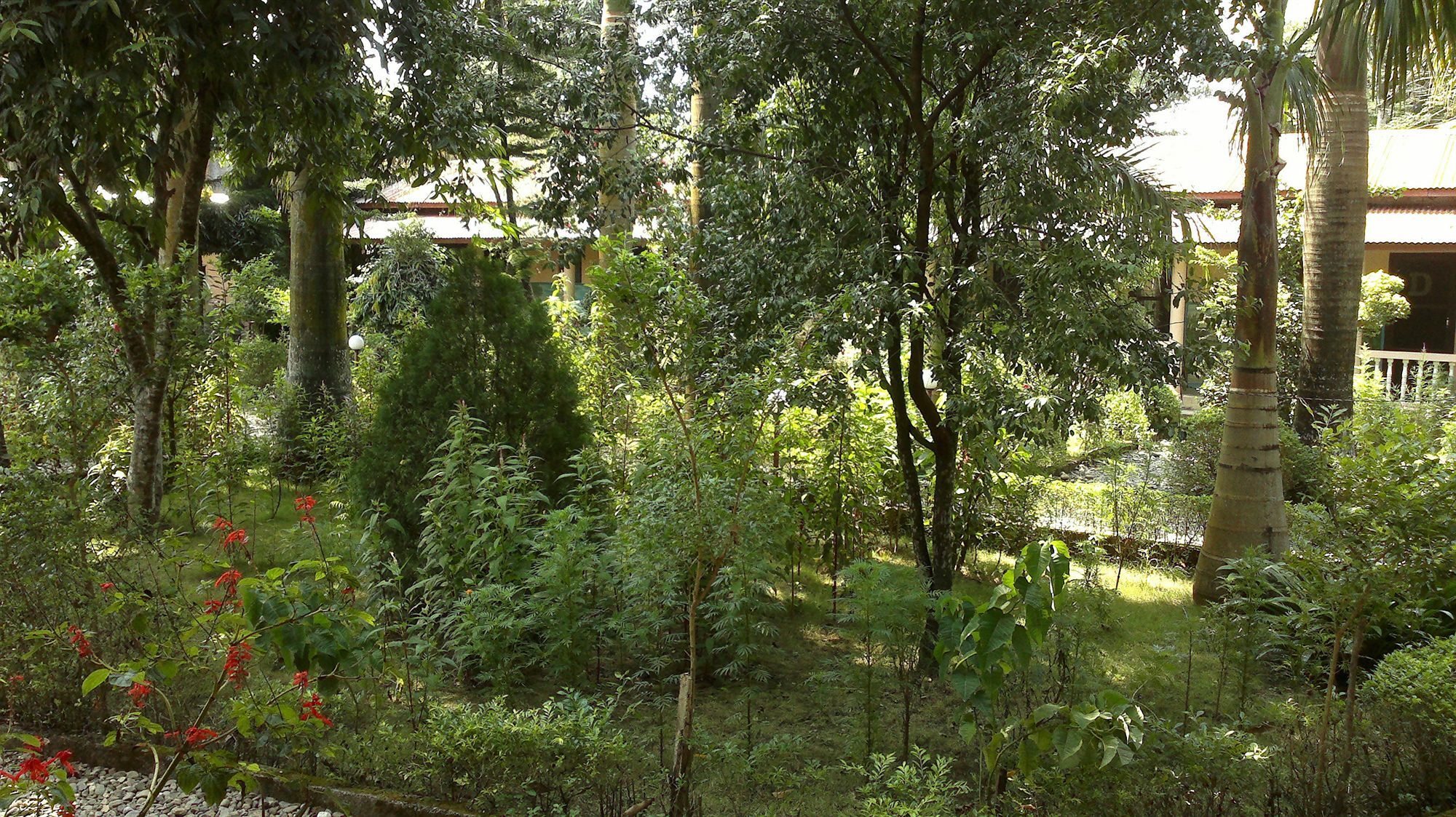 Hotel Ama Garden Sauraha Esterno foto