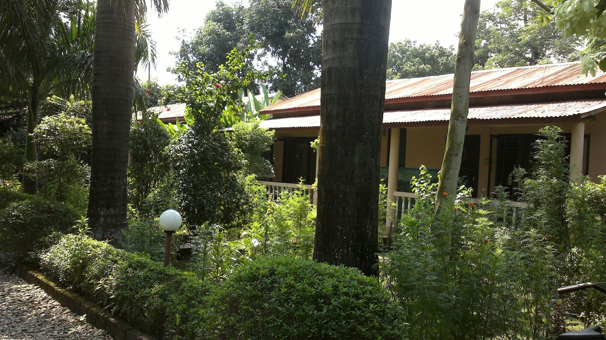 Hotel Ama Garden Sauraha Esterno foto
