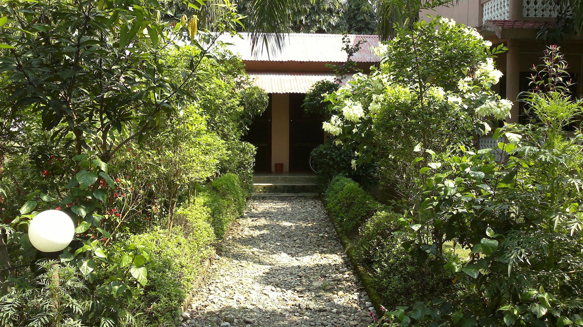 Hotel Ama Garden Sauraha Esterno foto