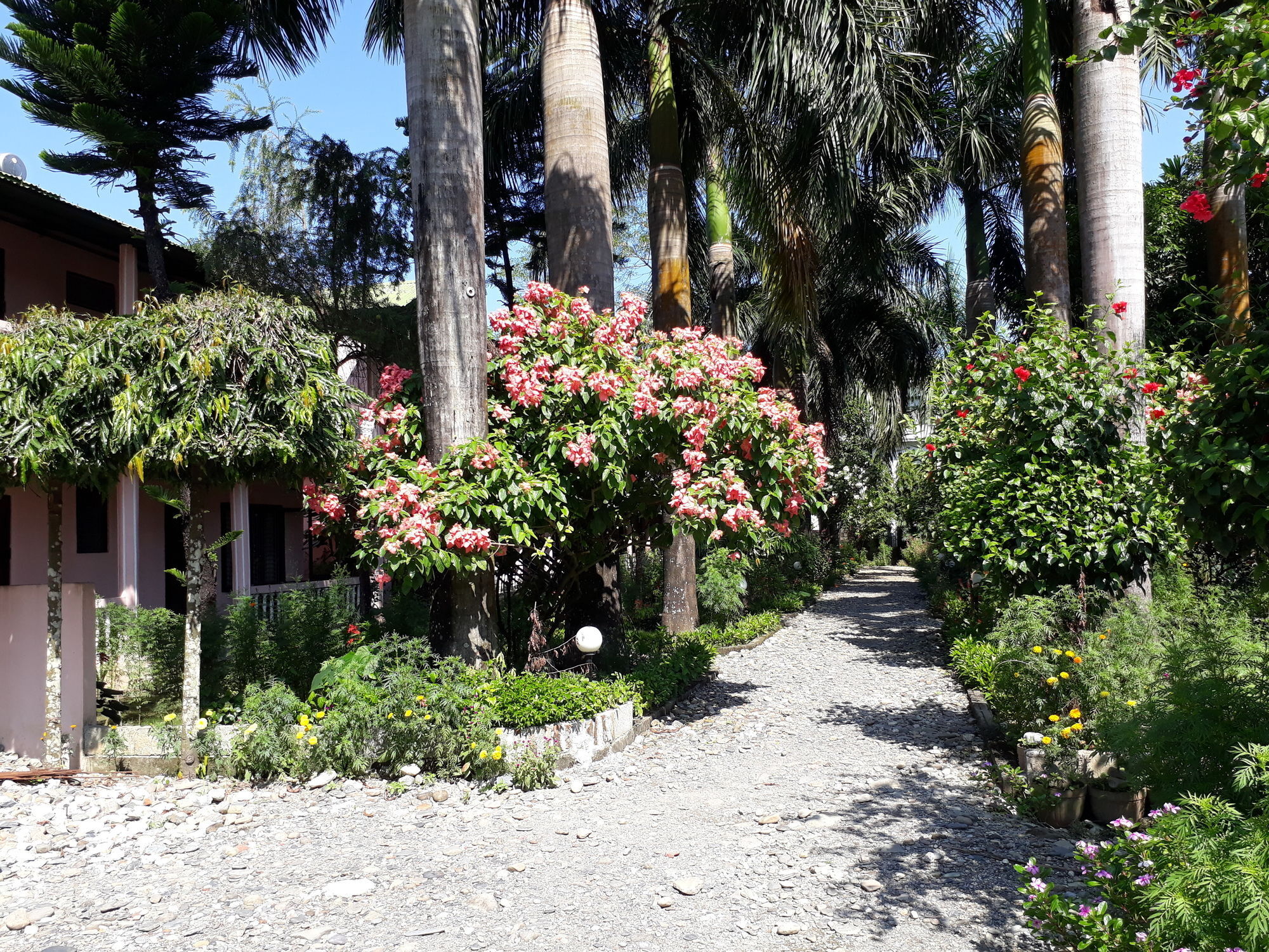 Hotel Ama Garden Sauraha Esterno foto