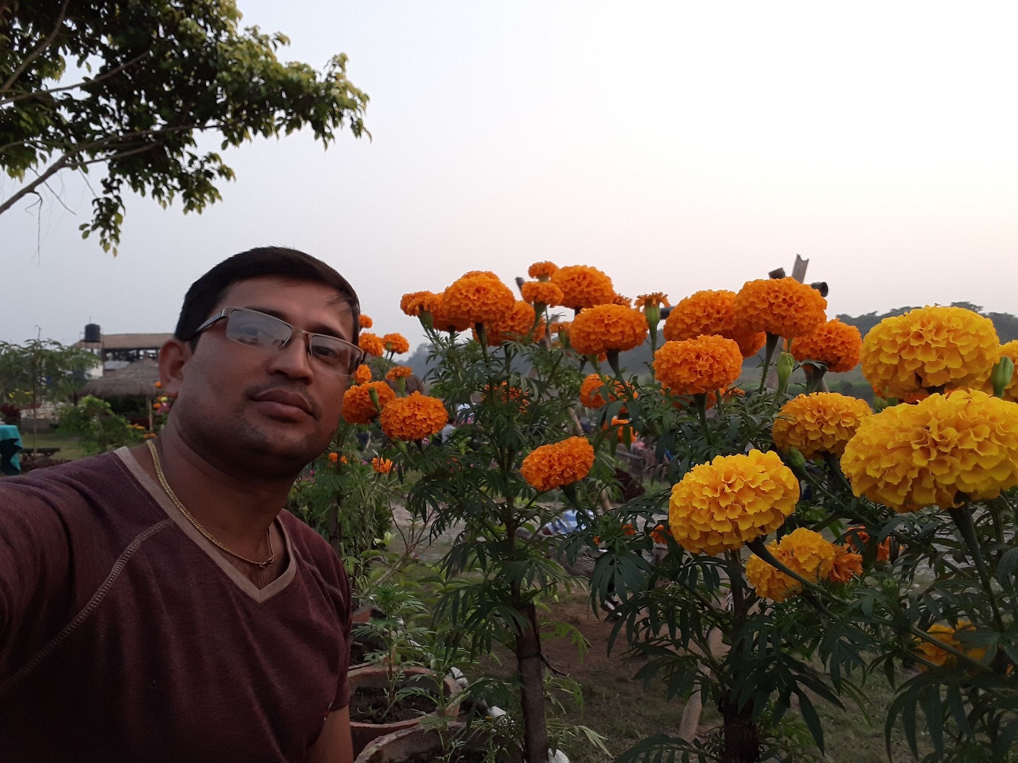 Hotel Ama Garden Sauraha Esterno foto
