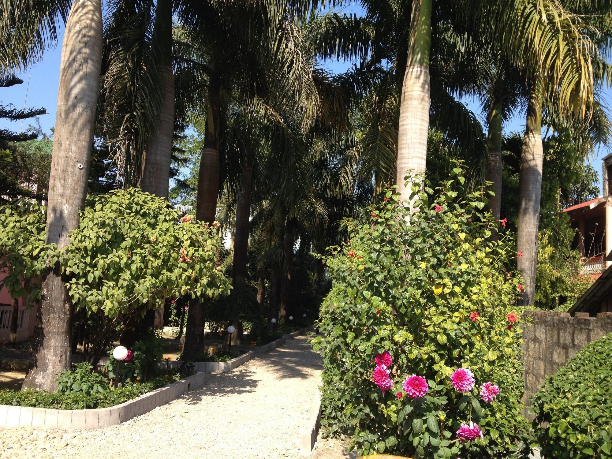 Hotel Ama Garden Sauraha Esterno foto