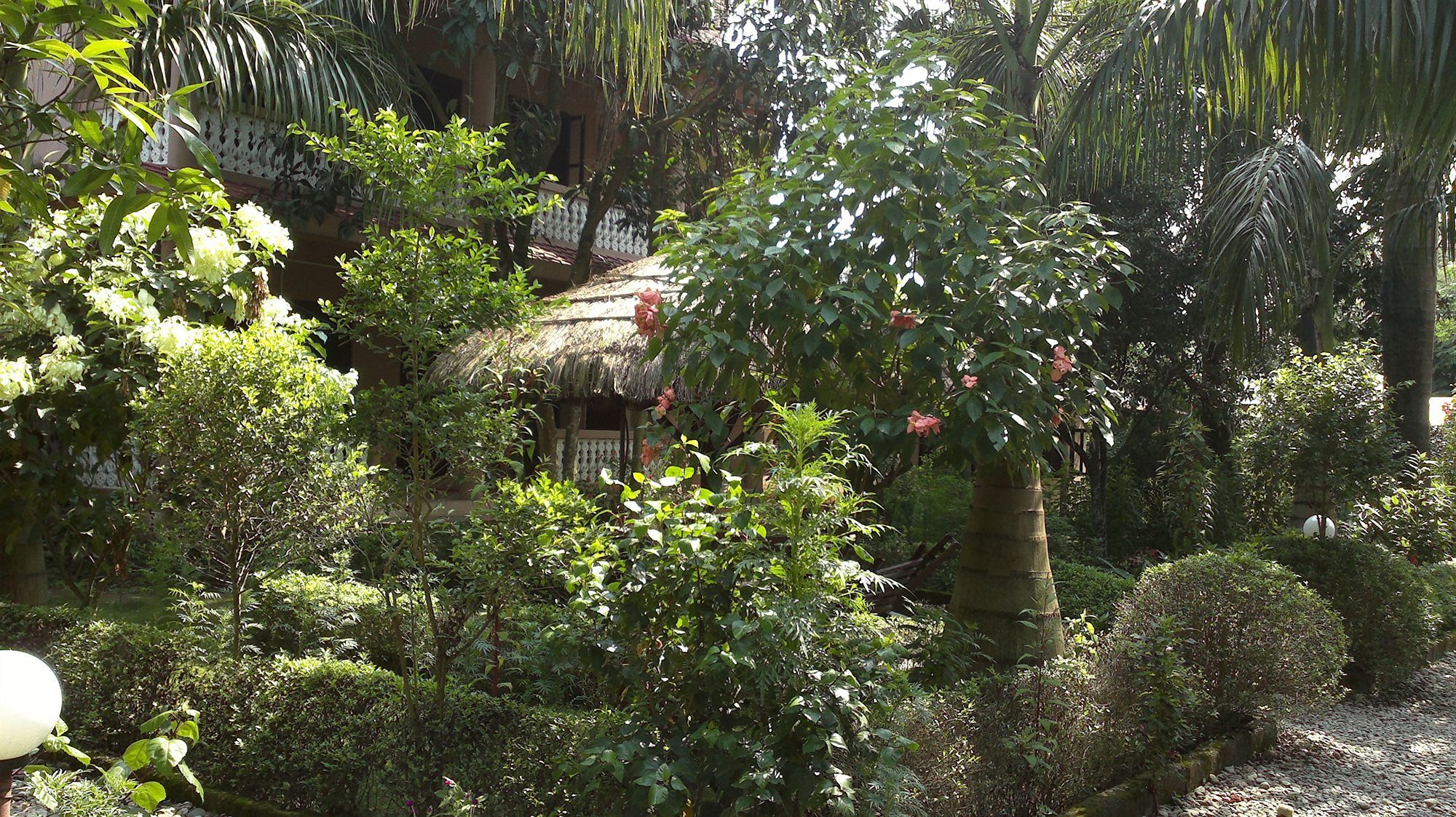 Hotel Ama Garden Sauraha Esterno foto