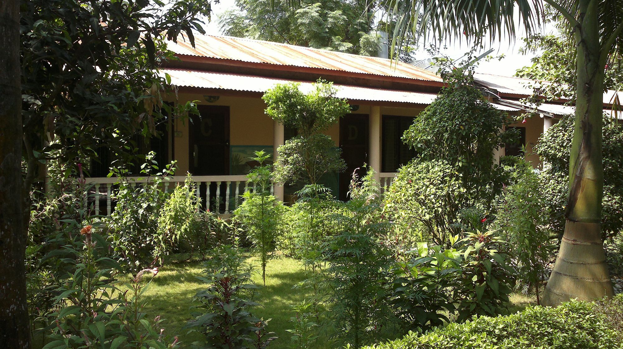 Hotel Ama Garden Sauraha Esterno foto