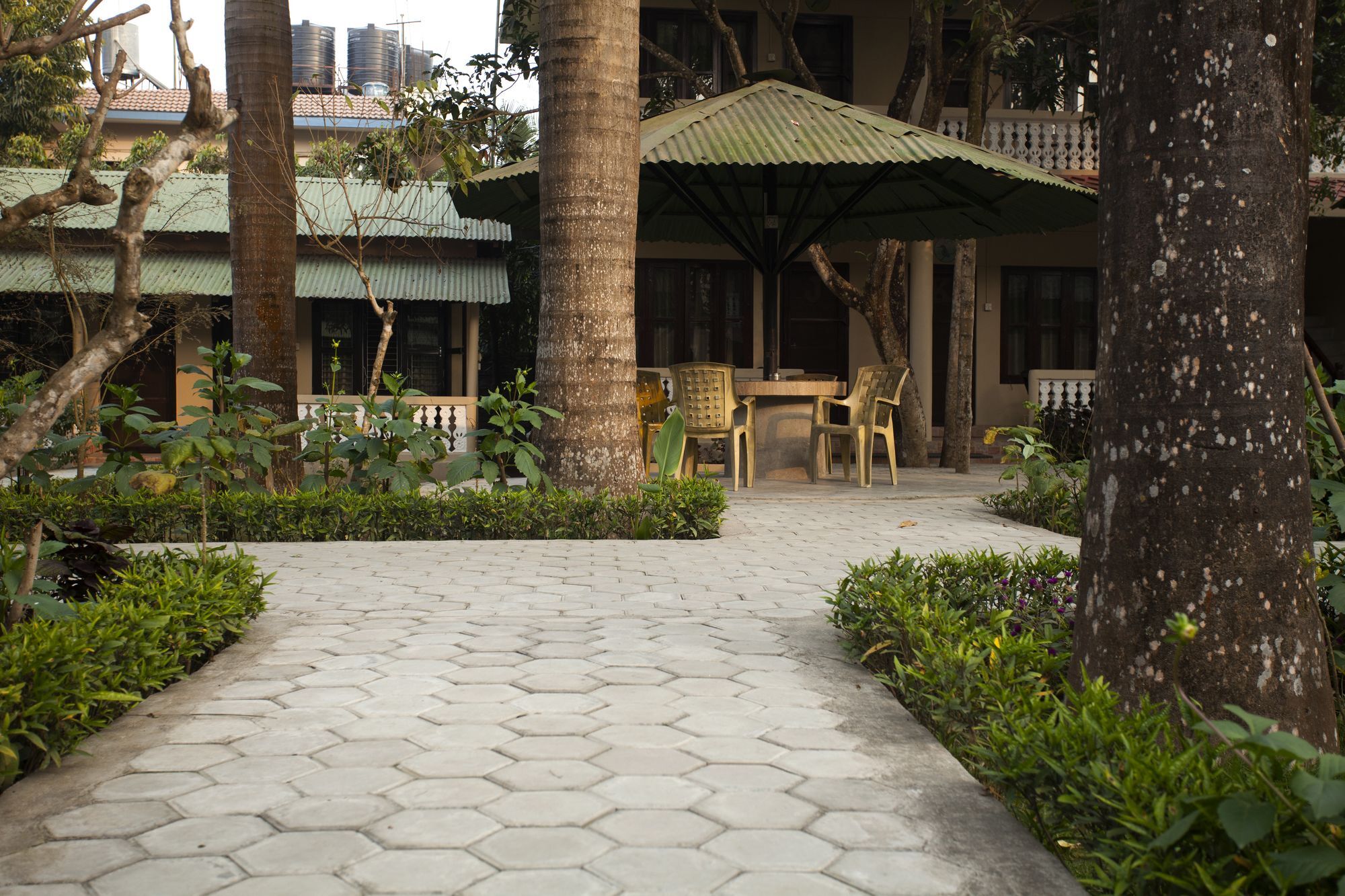 Hotel Ama Garden Sauraha Esterno foto